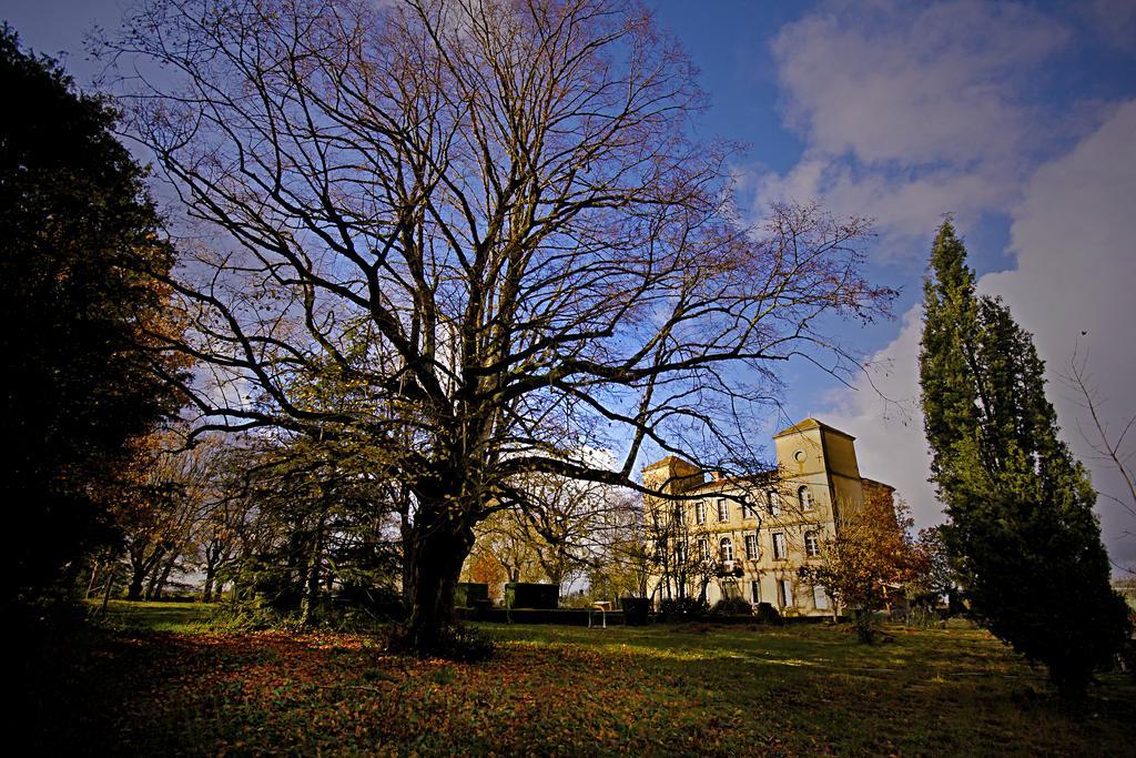 Domaine De La Celarie Mouzieys-Teulet Exterior photo